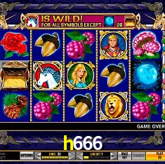 h666 Rio de Janeiro - Bonus Terms